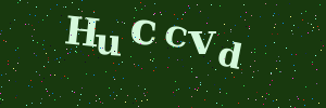 Validation image